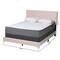 Baxton Studio Abberton Modern and Contemporary Light Pink Velvet and Gold Metal Queen Size Panel Bed 220-12852-ZORO - alternate 9